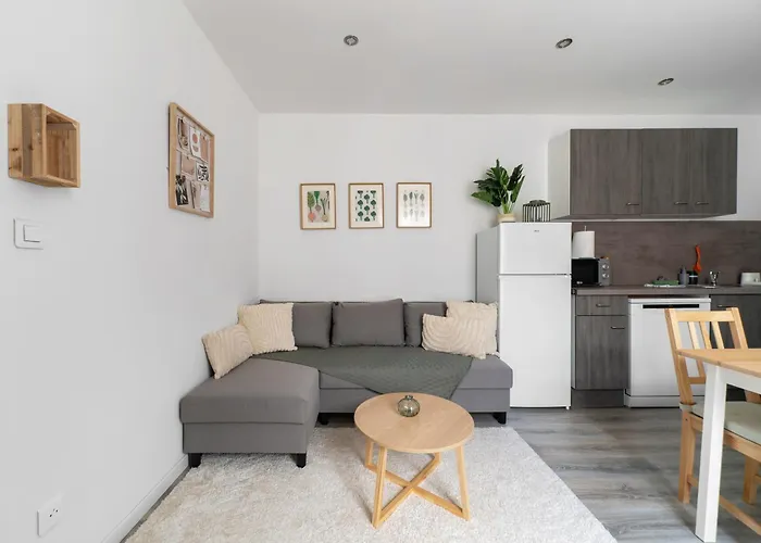 Residence Le Celest - Appartements Climatises - Centre Ville