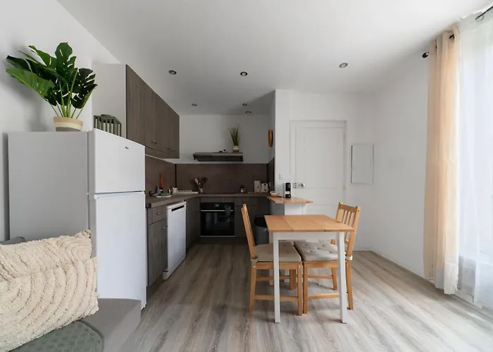 Residence Le Celest - Appartements Climatises - Centre Ville
