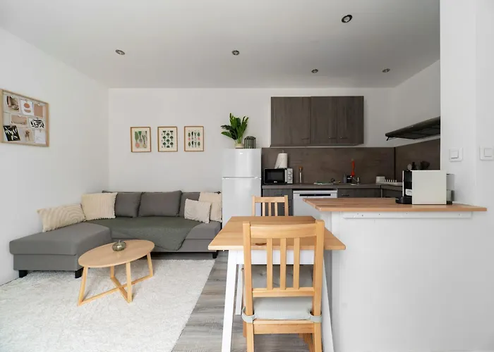 Residence Le Celest - Appartements Climatises - Centre Ville